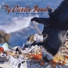 TY CURTIS BAND: Down On My Luck