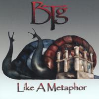 Bartron Tyler Group : Like A Metaphor