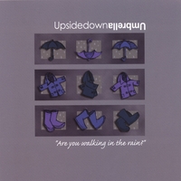 Upside Down Umbrella : Are You Walking in the Rain?