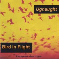 UGNAUGHT: Bird in Flight