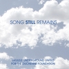 Various Artists: Song Still Remains: Ukulele Underground United for the Duchenne Foundation