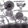 UKUPHAMBANA: Gritware Composite