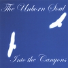 THE UNBORN SOUL: Into the Canyons