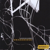 UNDERGROUND FLY: Awakenings