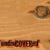 Various Artists : Undiscovered