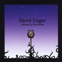 David Unger : Stirring Up the Echoes
