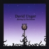 DAVID UNGER: Stirring Up The Echoes