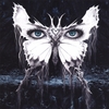 UNVEILED: Nowhere Now Here