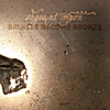Vagrant Moon: Bruises Become Bronze