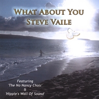 Steve Vaile : What About You (vocal single)