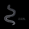 LUKE VAJSAR: Electric Eel