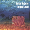 LUKE VAJSAR: In the Loop