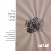 VINSON VALEGA: Awake