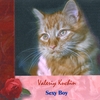 VALERIY KUCHIN: Sexy Boy