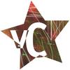 VANITY CRASH: vanityCrash