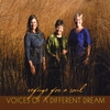Voices of a Different Dream: Refuge for a Soul