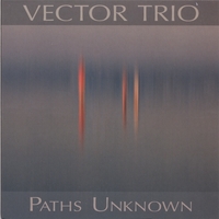 VECTOR TRIO: Paths Unknown