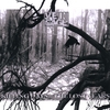 VEIN CAGE: Killing Days... The Lost Years