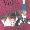 VEL: Meow, fool!