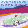 JOE VENEGONI: Open Road