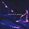 VENTURIA: Hybrid