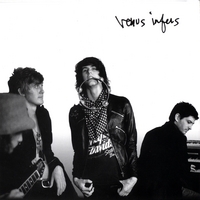 VENUS INFERS: Venus Infers...(the white album)