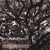 BENJAMIN VERDERY: Branches