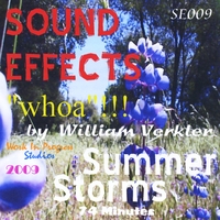 William Verkler : Summer Storms "whoa" SE009