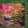 VERLENE SCHERMER: The Hidden Pool