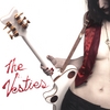 THE VESTIES: The Vesties