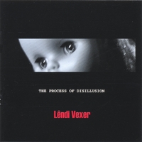 Lendi Vexer : THE PROCESS OF DISILLUSION