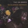THE VIA MARIS: The Wilderness Underneath