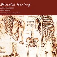 Victor Spiegel : Skeletal Healing
