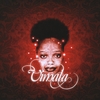VIMALA: Vimala