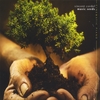 VINCENT CORDEL: Music Seeds