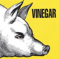 VINEGAR: Rock Fetish
