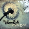 VINELIFE CHURCH: Vinelife Unplugged