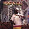 VIN YARD: Do You Wanna Live?