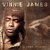 VINNIE JAMES: Songs For The Long Journey