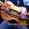 ANDREY VINOGRADOV: Russian hurdy-gurdy tunes