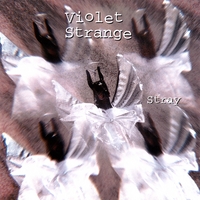 Violet Strange : Stray