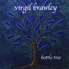 Virgil Brawley: Bottle Tree