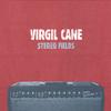 VIRGIL CANE: Stereo Fields