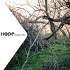 VARIOUS ARTISTS: Hope, Volume One