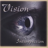 VISION: Introspection