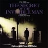 V.I.T.A.L. EMCEE: The Secret of the Invisible Man