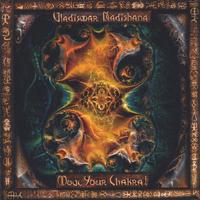 Vladiswar Nadishana : Move Your Chakra!