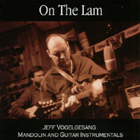 Jeff Vogelgesang : On the Lam: Mandolin and Guitar Instrumentals