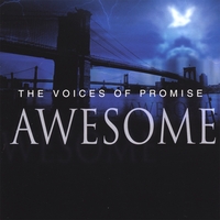 THE VOICES OF PROMISE: Awesome