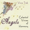 VOICE TREK: Angels, Celestial Voices of Harmony